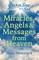 Chicken Soup for the Soul: Miracles, Angels & Messages from Heaven