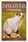 Groundhogs - Discover