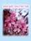 Rolleen Rabbit's Book of Short Poems