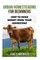 Urban Homesteading For Beginners