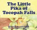The Little Pika of Tocopah Falls
