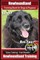 Newfoundland Training Book for Dogs & Puppies By BoneUP DOG Training