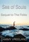 The Sea of Souls - Sequel to the Folks