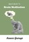 Quick Guide To Brain Meditation