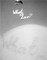 Keti Kapanadze- What is Love?