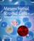 Mesenchymal Stromal Cells as Tumor Stromal Modulators