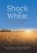 Shock the Wheat
