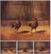 The Breeding and Management of Fighting Cocks