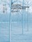 Proceedings 16th Central Hardwood Forest Conference
