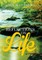 Reflections on Life