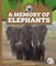 A Memory of Elephants