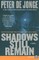 Shadows Still Remain