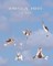 Whimsical Birds