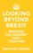 Looking Beyond Brexit