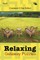 Relaxing Getaway Puzzles Vol 6