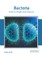 Bacteria: Role in Health and Disease