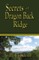 Secrets of Dragon Back Ridge