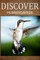 Hummingbirds - Discover