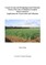 Genetic Erosion and Morphological and Molecular Markers Diversity of Ethiopian Tetraploid Wheat Landraces: Implications for Conservation and Utilization
