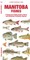 Manitoba Fishes