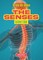 The Senses
