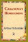 Casanova's Homecoming
