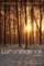 Luminescence, Volume 1