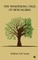 The Whispering Tree of Bengaluru