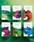 Immerse Bible Complete Set (Softcover)