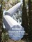 Wolfstein Sculpture Parks At Scripps Memorial Hospitals San Diego