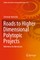 Roads to Higher Dimensional Polytopic Projects