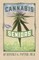 Cannabis for Seniors