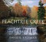 Peachtree Creek