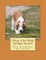 I Want A Pet Welsh Springer Spaniel