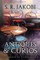Antiques & Curios