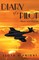 Diary of a Pilot