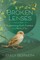 Broken Lenses, Volume 3