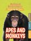 Apes & Monkeys