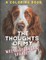 The Reflections of My Welsh Springer Spaniel