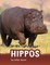 Hippos