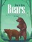 How to Draw Bears Step-by-Step Guide