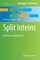 Split Inteins