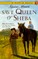 Save Queen of Sheba