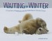 Waiting for Winter