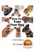 How To Train Your Dog