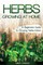 Herbs Growing at Home