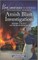 Amish Blast Investigation
