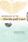 Archeology of the Florida Gulf Coast