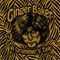 Ginger Baker - A Drummer's Tale