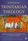 Rethinking Trinitarian Theology